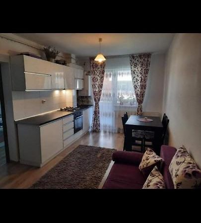 Apartament Diana Apartament Braszów Zewnętrze zdjęcie