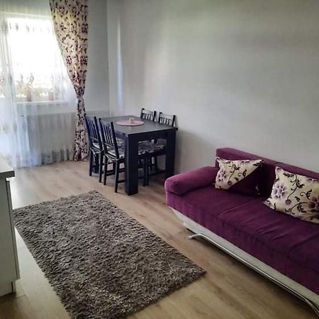 Apartament Diana Apartament Braszów Zewnętrze zdjęcie