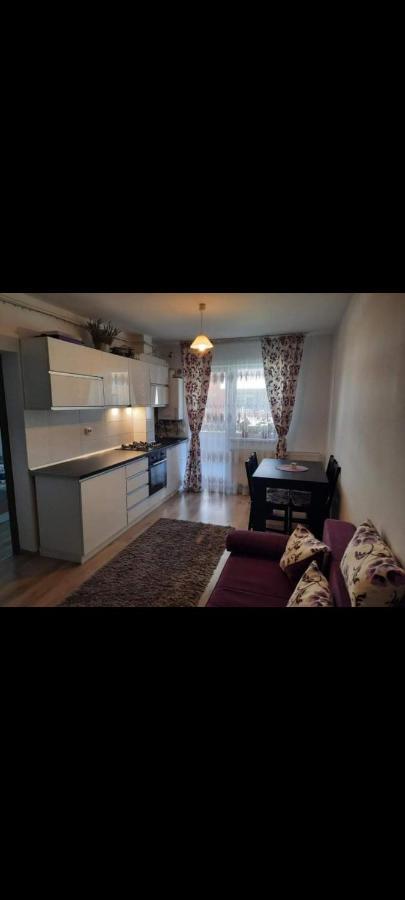 Apartament Diana Apartament Braszów Zewnętrze zdjęcie