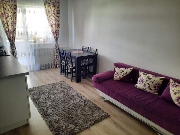 Apartament Diana Apartament Braszów Zewnętrze zdjęcie